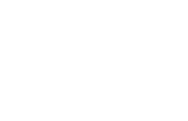 SWSkinn